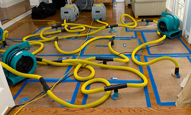Professional Flood Damage Restoration technician working in Mount Vernon, TX